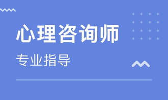 天津心理咨詢師實(shí)務(wù)技能培訓(xùn)指南 價(jià)格解析與優(yōu)質(zhì)機(jī)構(gòu)推薦